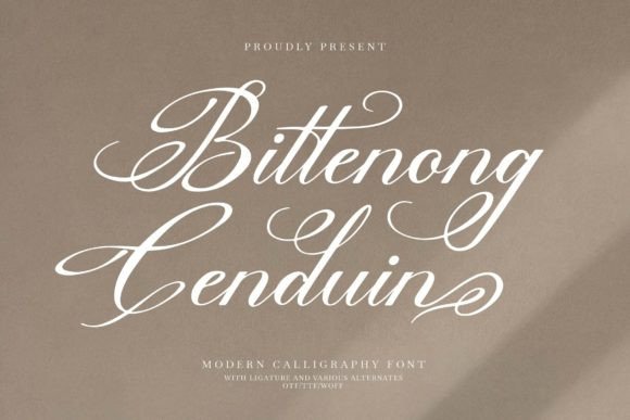 Bittenong Cenduin: A Stylish Script Font That Elevates Your Brand