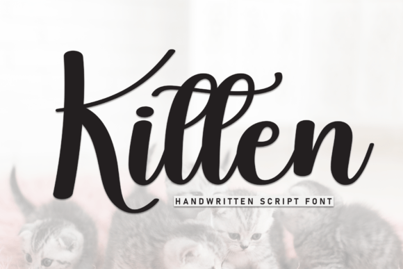 Kitten: A Refined Script Font for Digital Branding