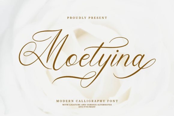 Moetyina: A Modern Script Font That Elevates Your Brand