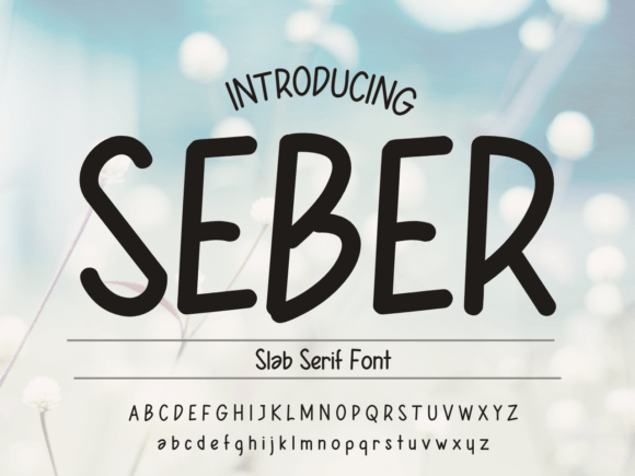 Seber: A Sweet, Friendly Handwritten Font for Digital Brands