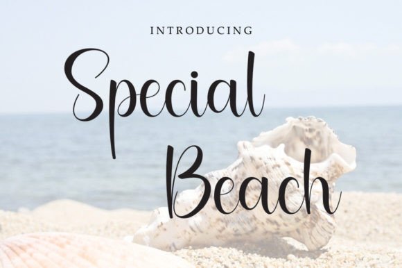 Special Beach: A Handwritten Font for Light, Romantic Editorial Moments